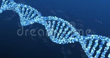 3DDNA与氨基酸链